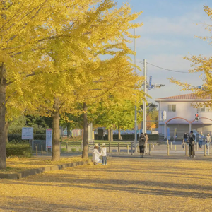 日本吃鸡巴，美女帅哥免费网站
