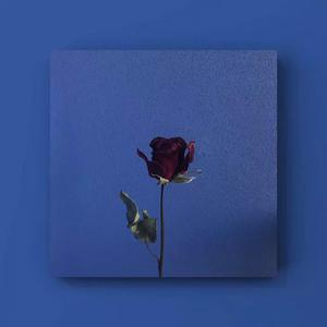 日本吃鸡巴，美女帅哥免费网站
